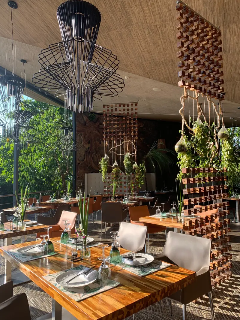 Wine wall, Árbol Restaurant